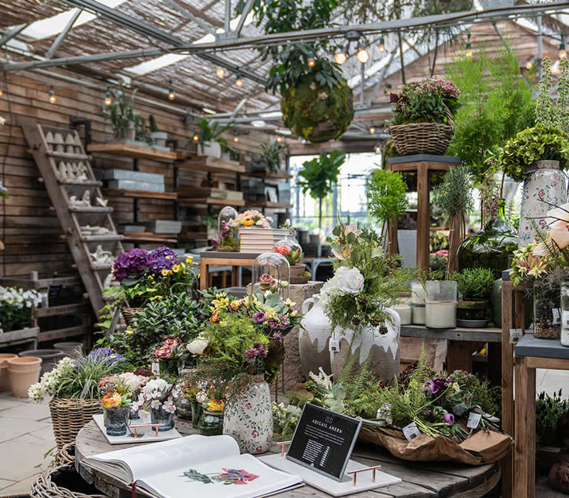 La Tienda de Mi Abuelita S.R.L.
